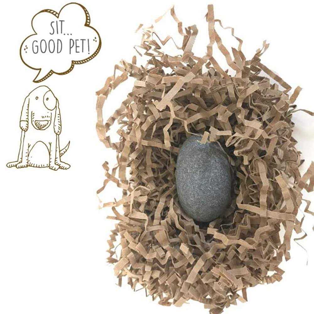 Pet Rock J411528