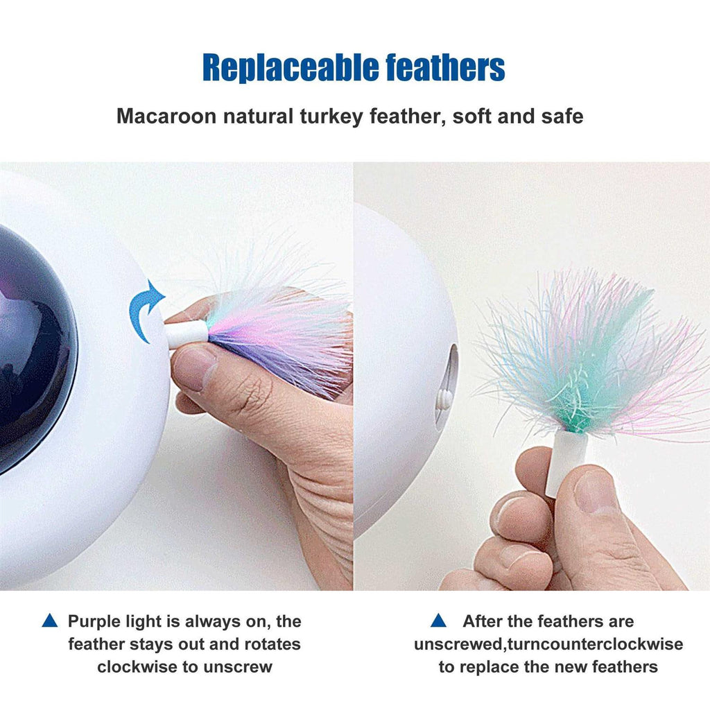 Interactive Cat Toy O772991