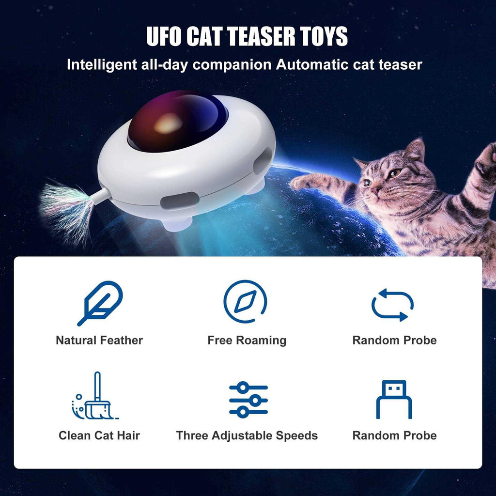 Interactive Cat Toy O772991
