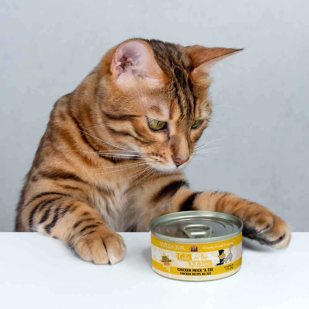 Chicken Cat Food R91078