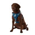 Navy Quick-Dry Dog Harness X229596
