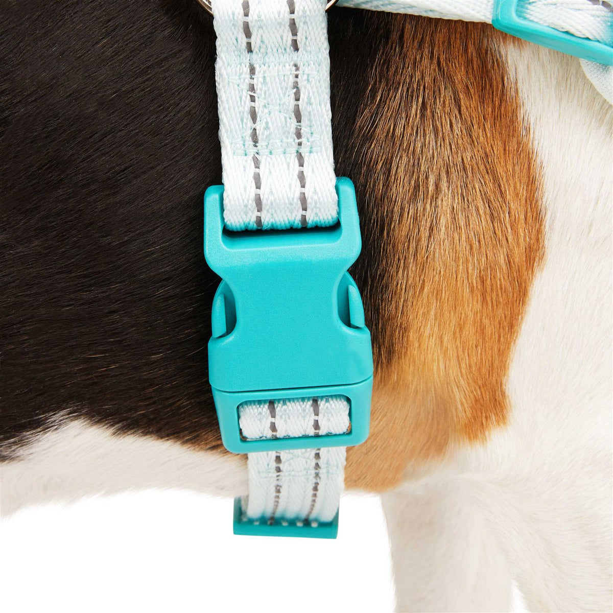 Easy On Training Dog Harness X179518