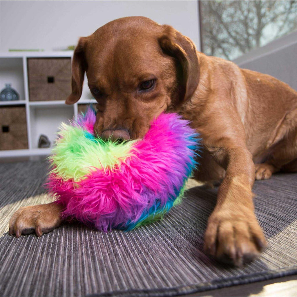 Dog Toy C98225