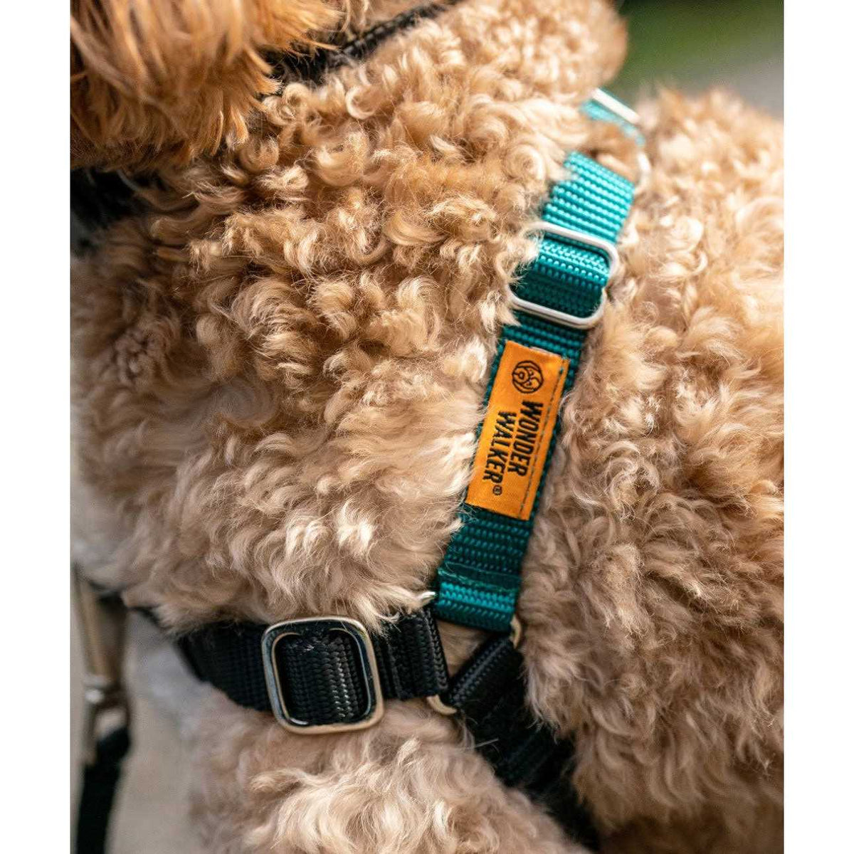 Dog Harness A6398