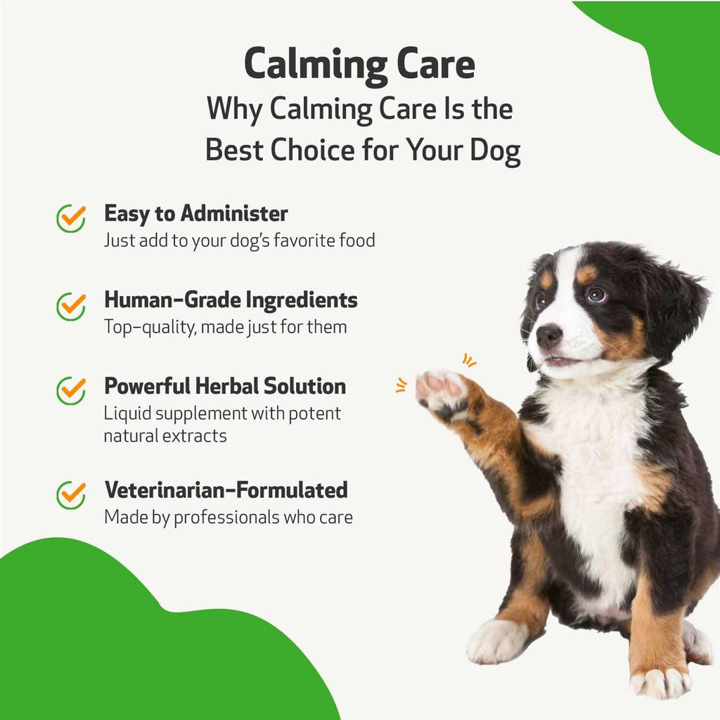 Calming Care for Dog Anxiety and Stress M558