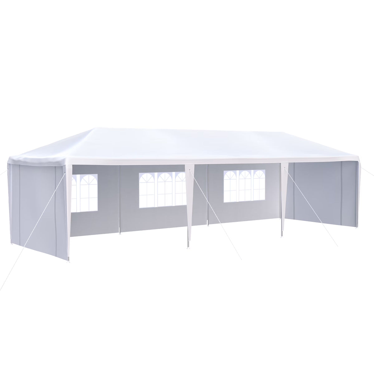 10x30' Outdoor Canopy Tent with 5 Removable Sidewalls F458511