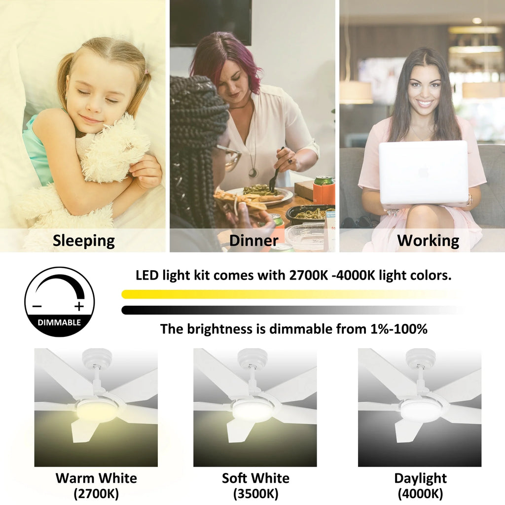 52-inch Indoor/Outdoor Smart Ceiling Fan with LED Light Kit & Remote I670