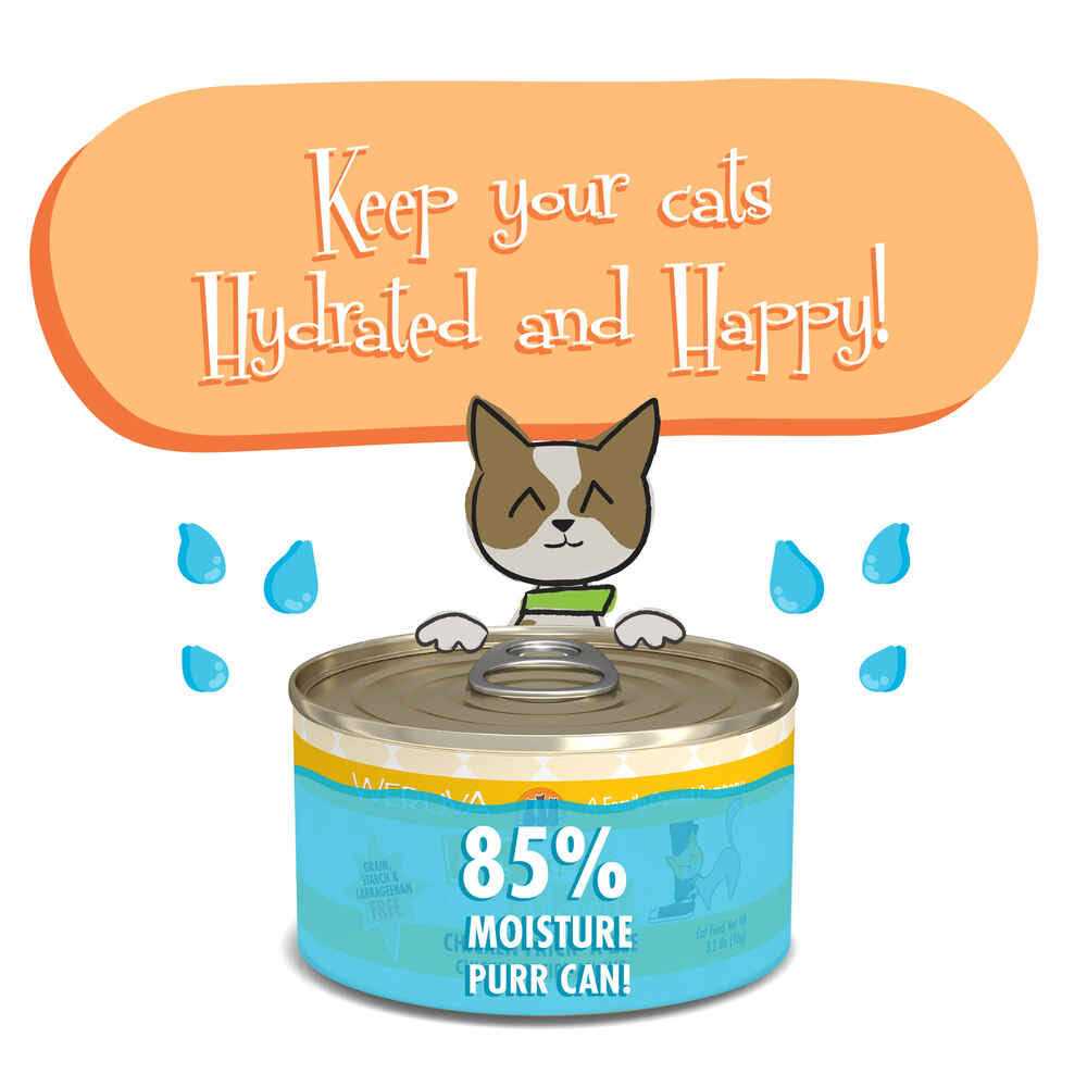 Chicken Cat Food R91078