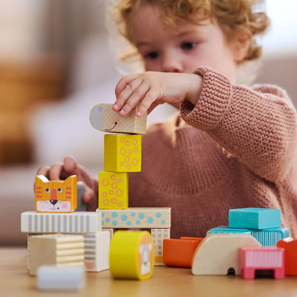 Wooden Blocks - 25 Piece Set M7393