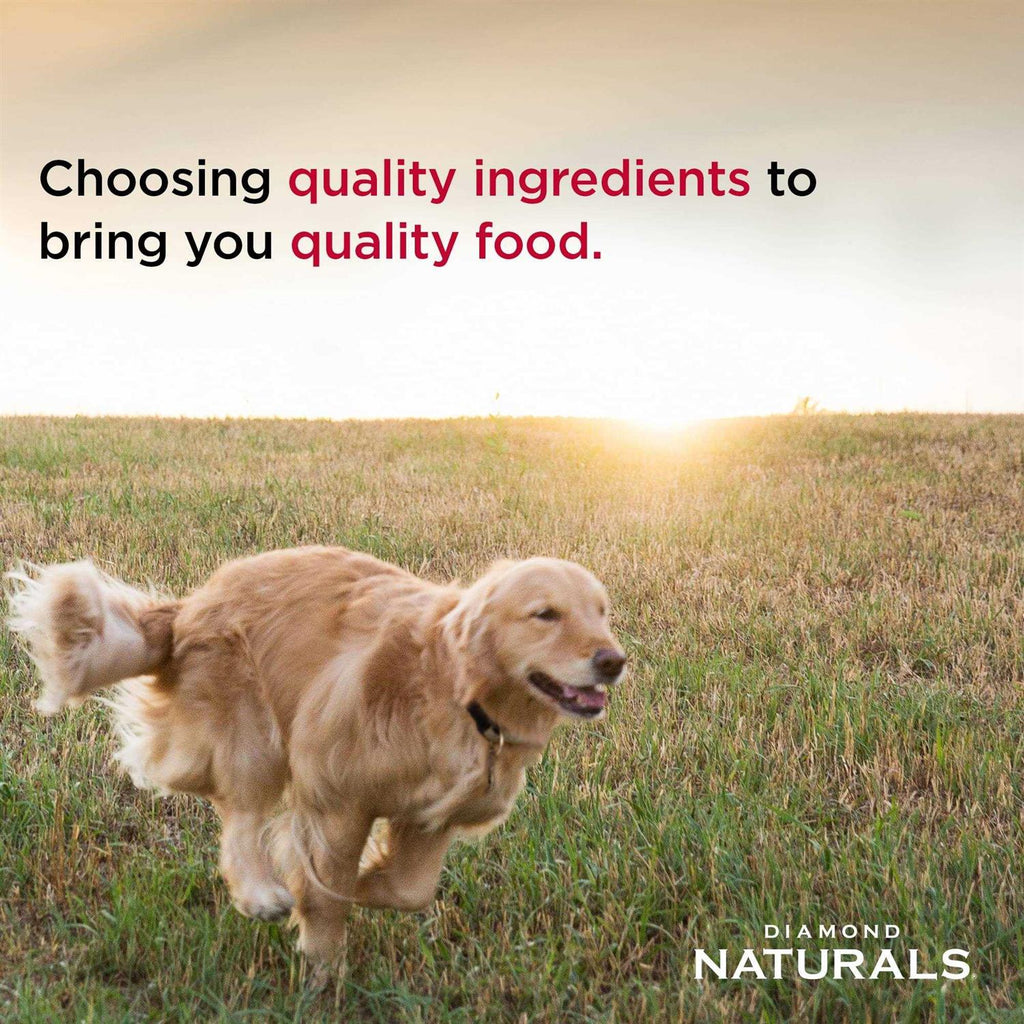 Chicken Rice Dry Dog Food E992595