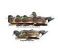 1/2 Dozen Duck Decoy T5261