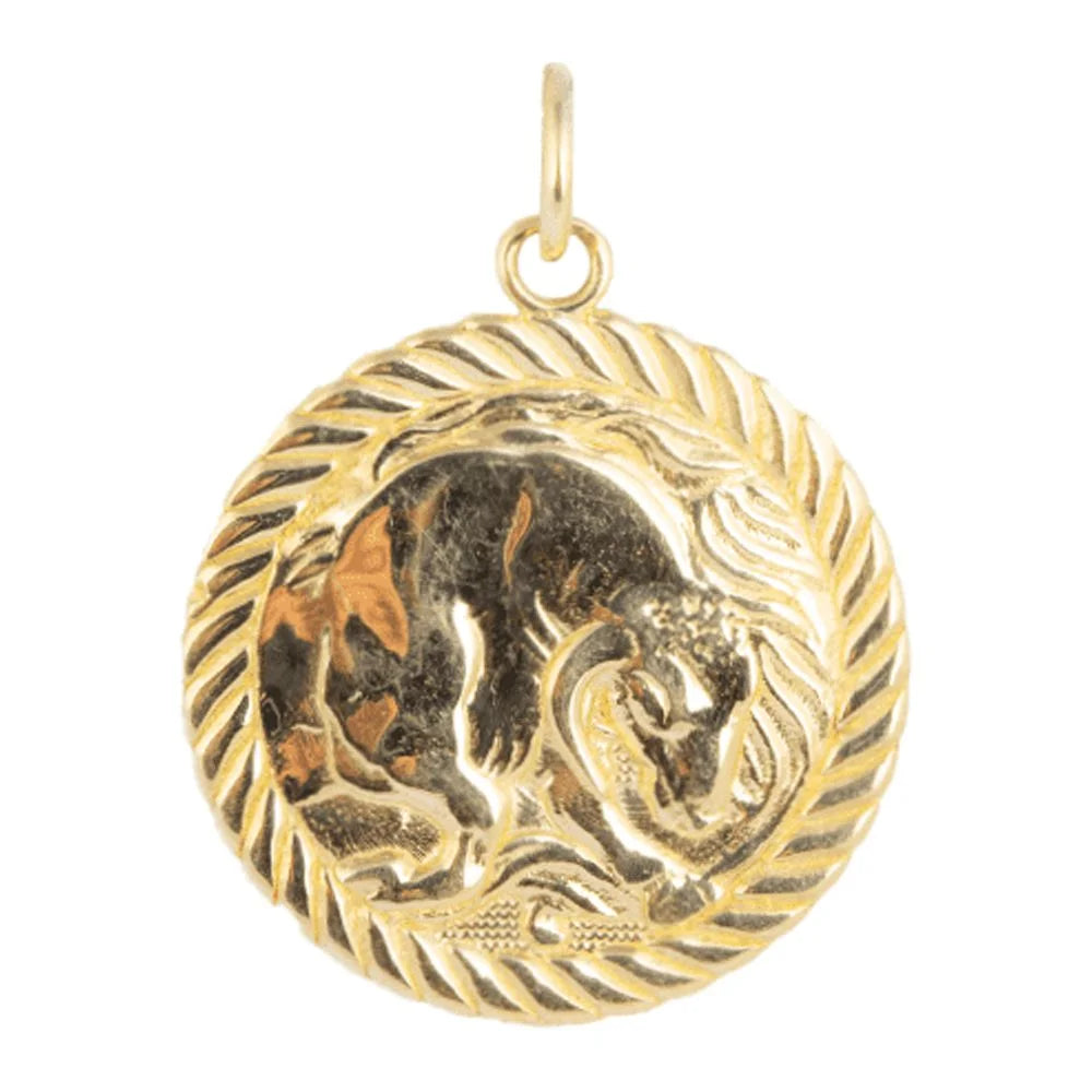 Solid Gold Zodiac Charm Coin Pendant Necklace 20 Inches C70488