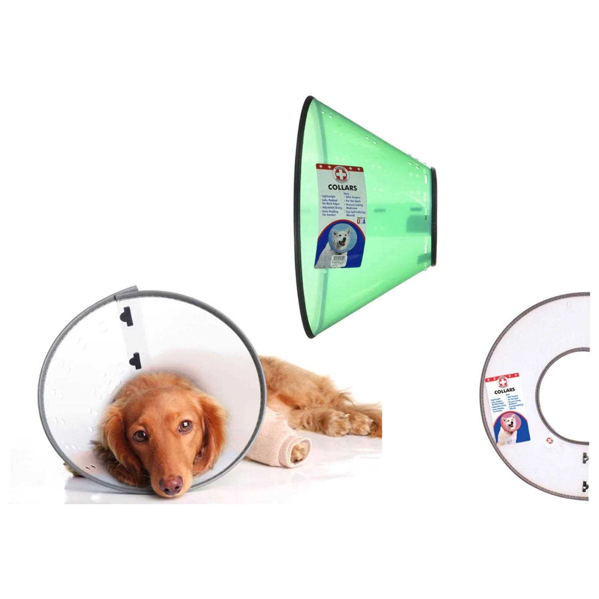 Dog E-Collar N234216
