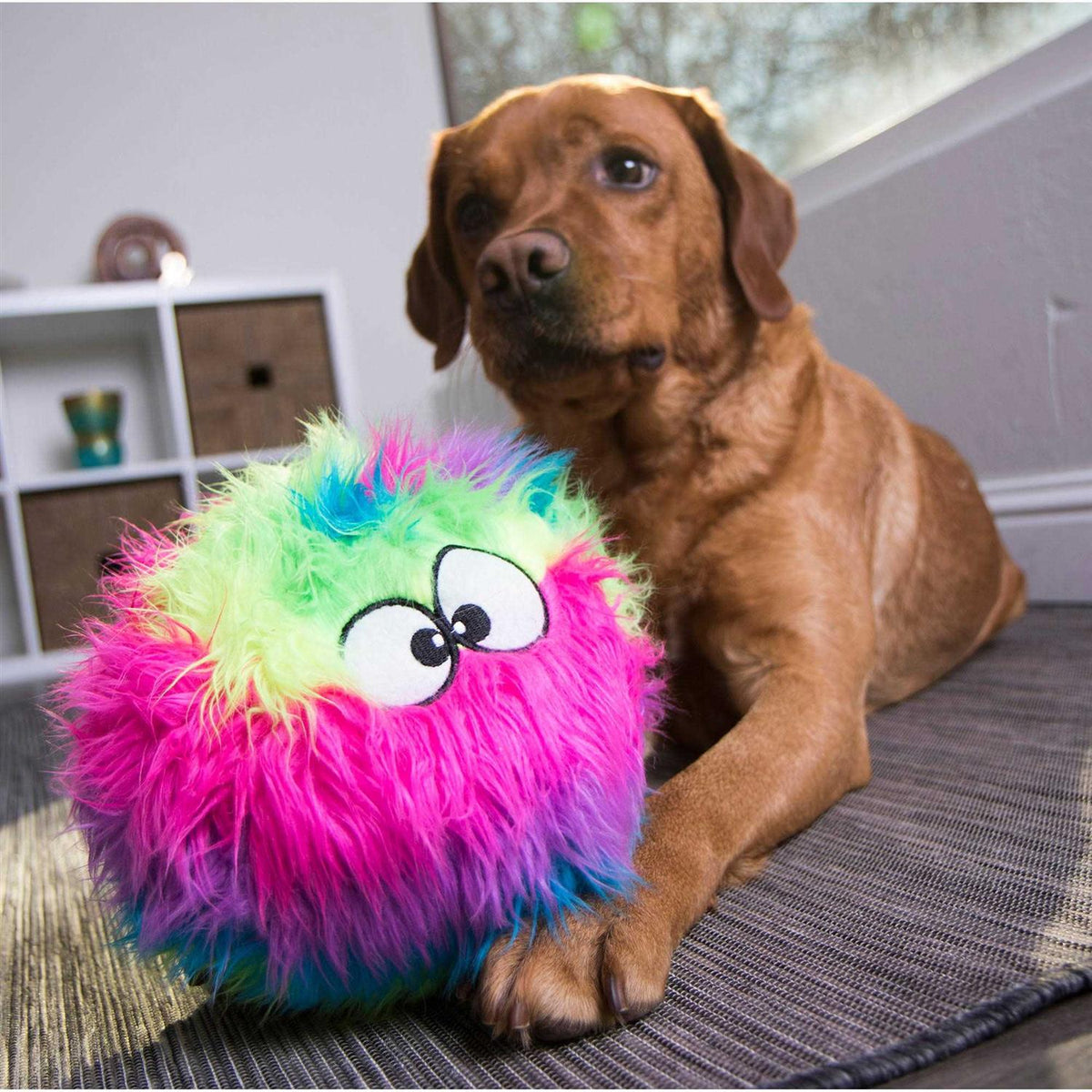 Dog Toy C98225