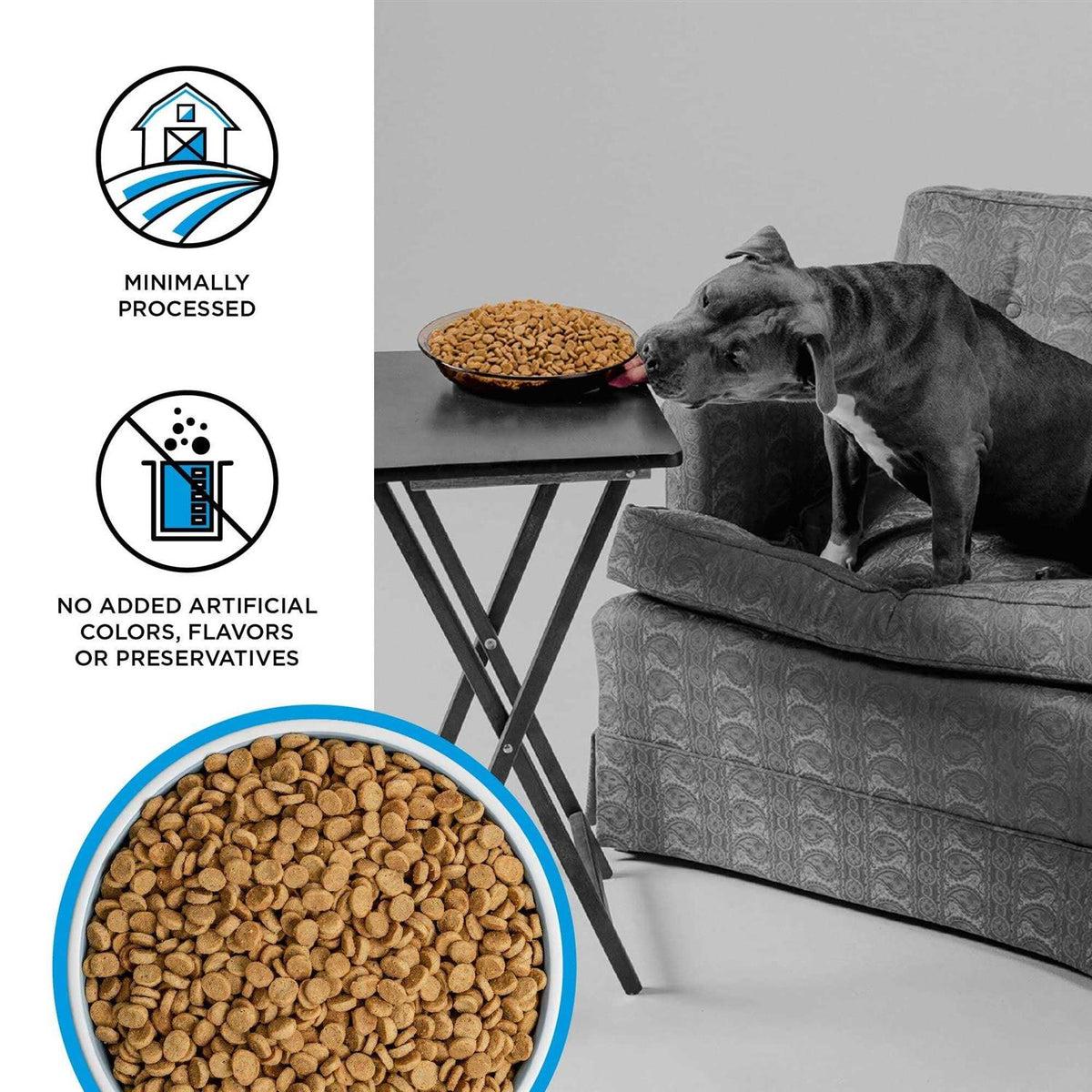 Grain-Free Dry Dog Food B417897