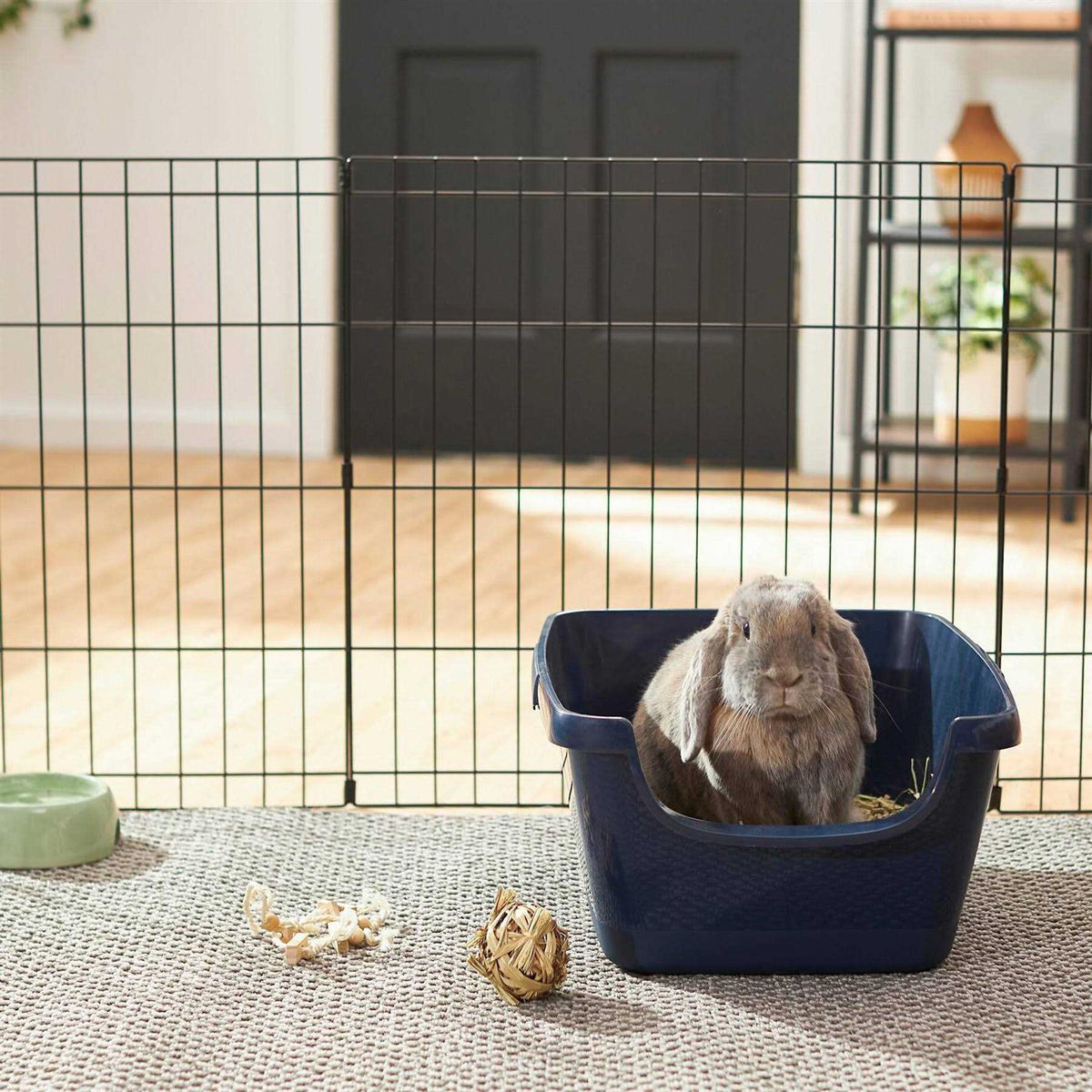 Small Pet Litter Box L925