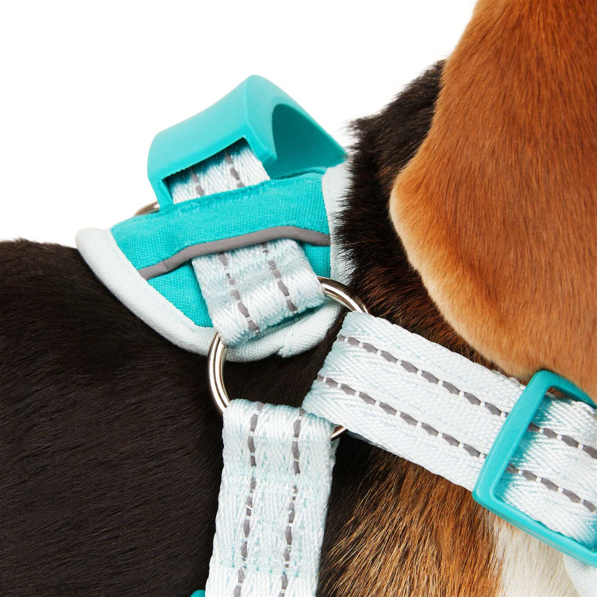 Easy On Training Dog Harness X179518