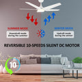 52-inch Indoor/Outdoor Smart Ceiling Fan with LED Light Kit & Remote I670