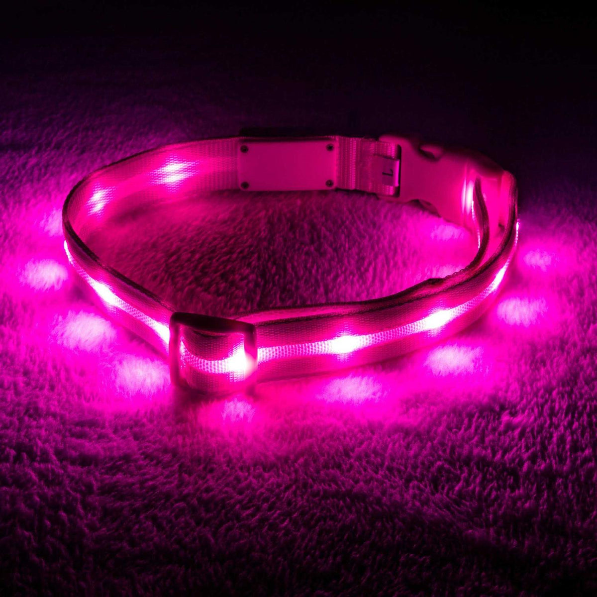 LED Light Up Dog Collar M56772