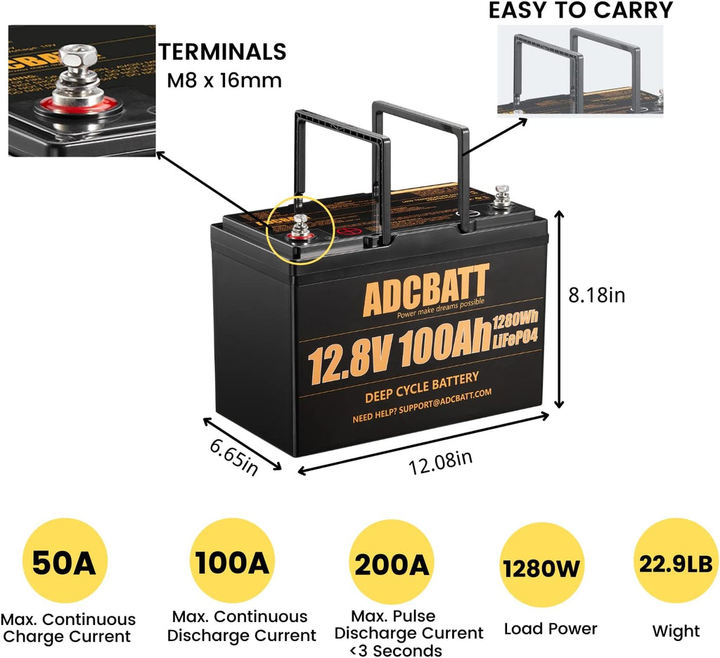 12V 100AH LiFePO4 Deep Cycle Battery with 100A BMS D559064