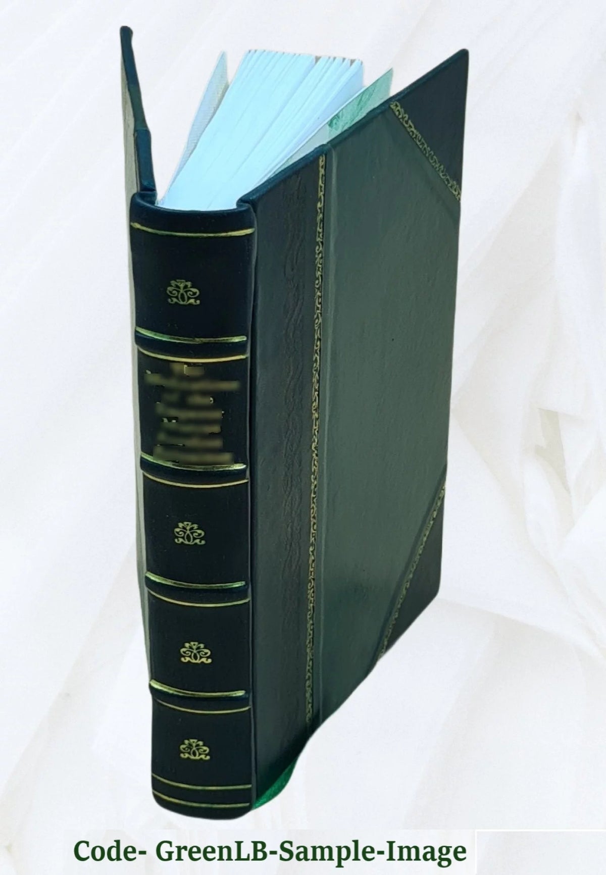 Leather Bound G12051