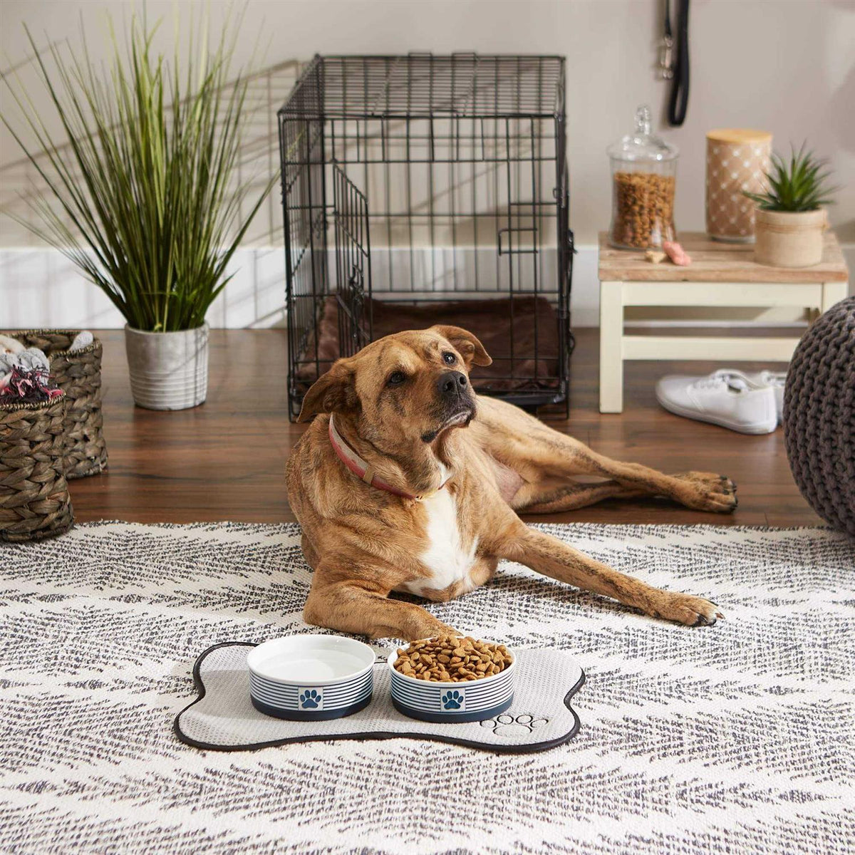 Bone Dry Paw Patch Pet Bowl N3752