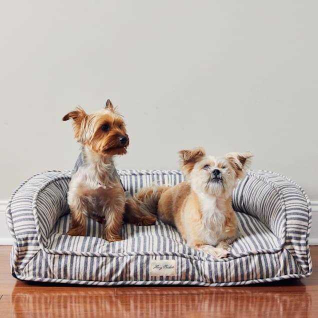 Stripe Lounger Pet Supplies M495